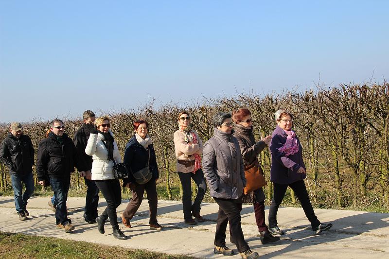 Winterwandeling 13-3-2016 org. M & J Menten (4).JPG